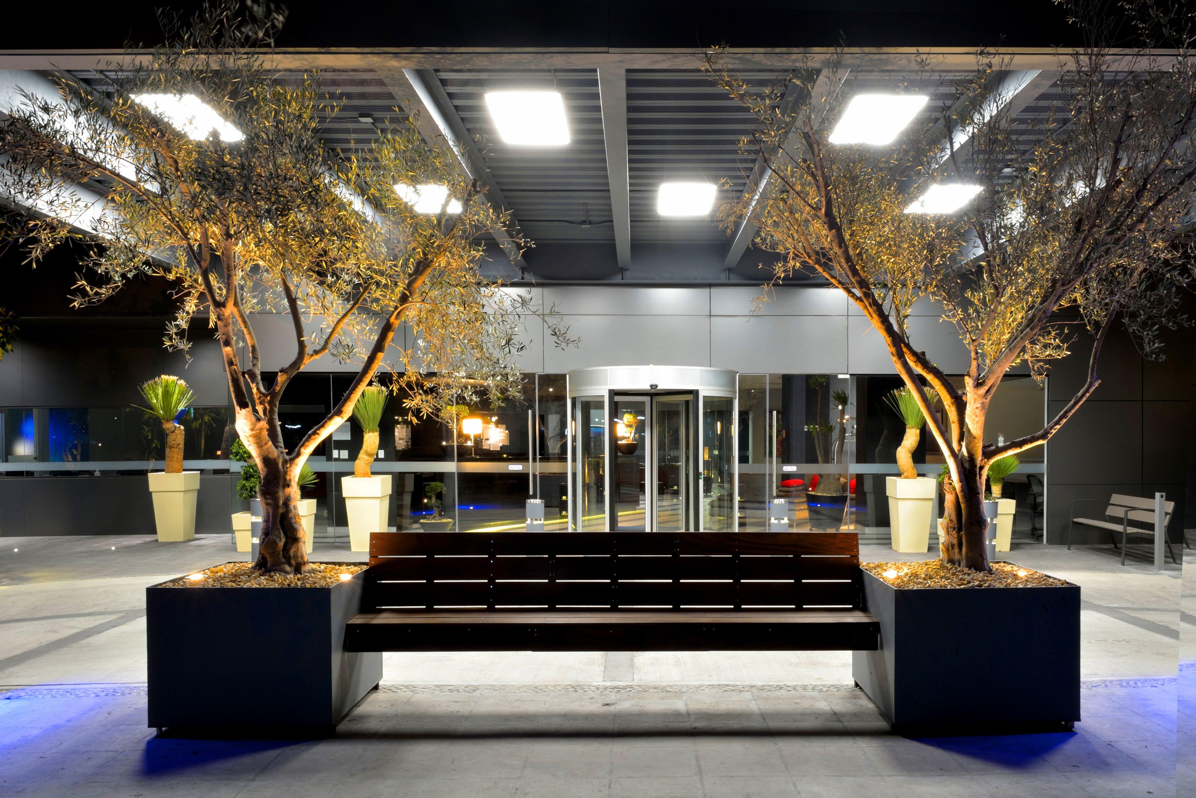 Holiday Inn Express Pachuca By Ihg Exteriér fotografie